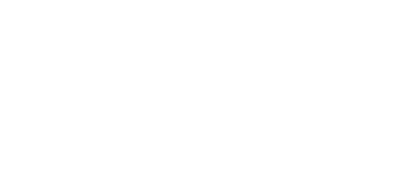 Naipaul Quote