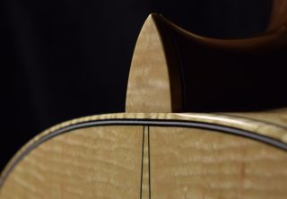 Heel