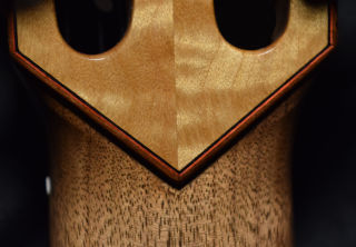 Brazilian Rosewood