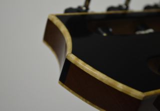 Headstock Binding
