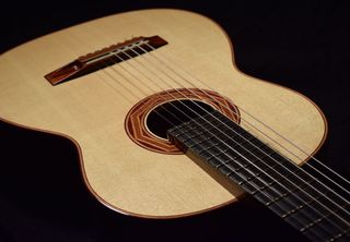 Ambrosia-Maple-Back